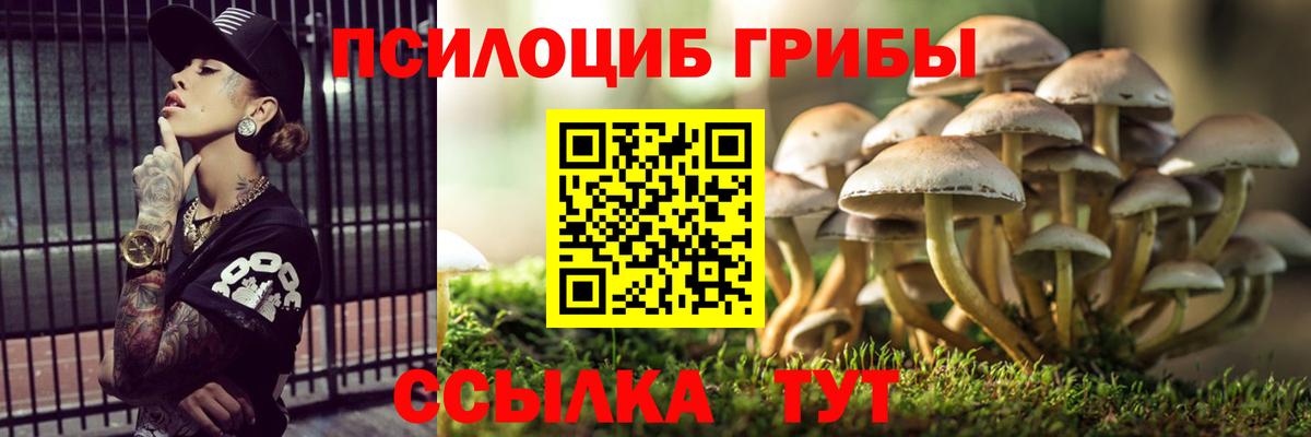 Кушва  Псилоцибиновые грибы Psilocybe  Галлюциногенные грибы Cubensis  Вход с VPN 